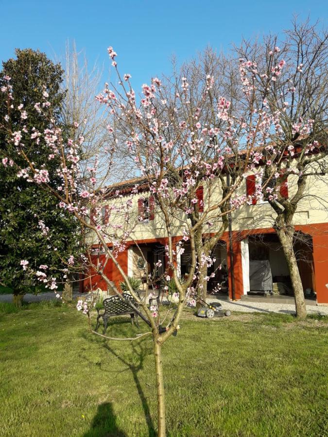 Tenuta Crescentini-Vallemura ,Appartamenti Con Entrata Indipendente San Dona di Piave Exterior photo
