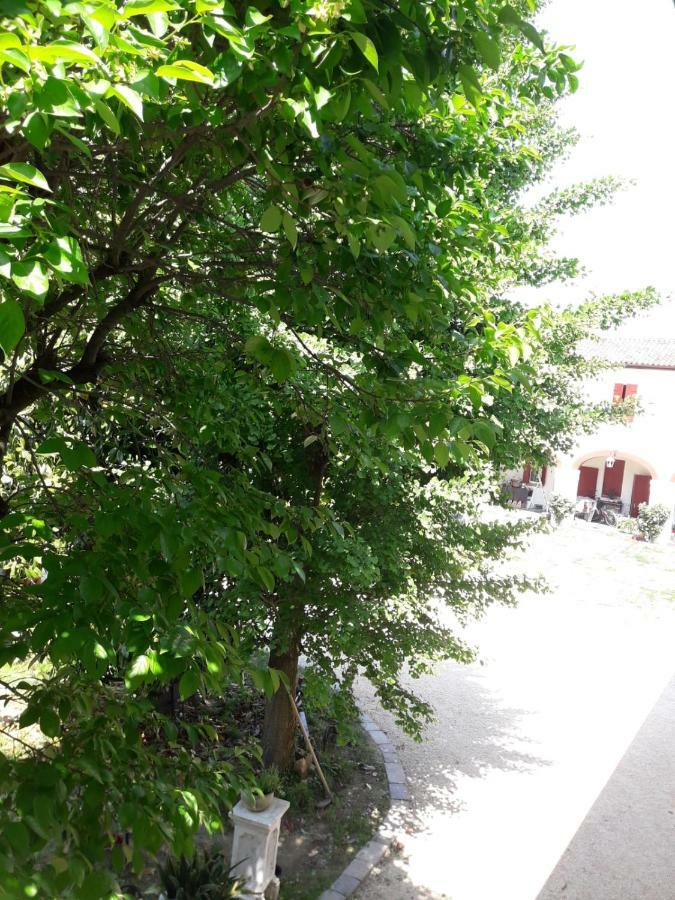 Tenuta Crescentini-Vallemura ,Appartamenti Con Entrata Indipendente San Dona di Piave Exterior photo