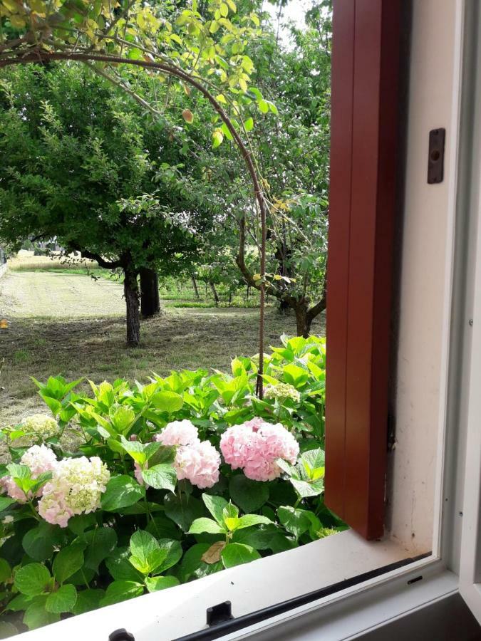 Tenuta Crescentini-Vallemura ,Appartamenti Con Entrata Indipendente San Dona di Piave Exterior photo