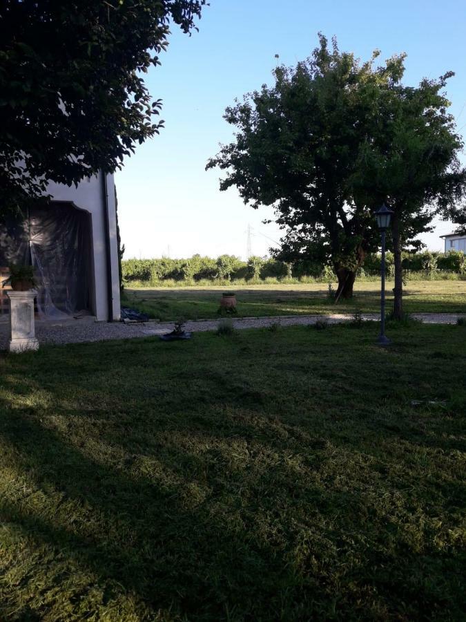 Tenuta Crescentini-Vallemura ,Appartamenti Con Entrata Indipendente San Dona di Piave Exterior photo