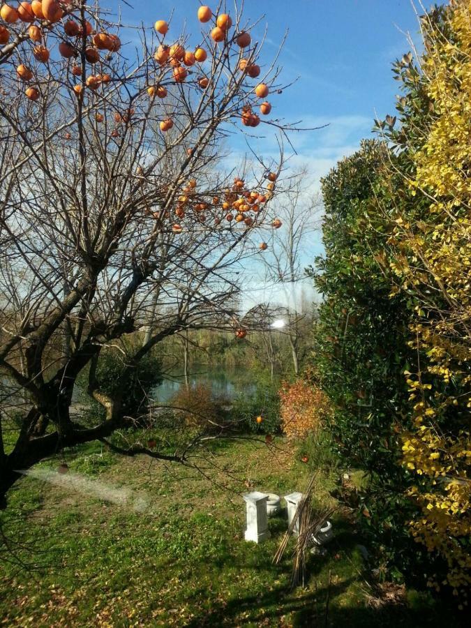 Tenuta Crescentini-Vallemura ,Appartamenti Con Entrata Indipendente San Dona di Piave Exterior photo